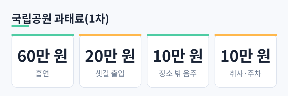 국립공원 1차 위반 과태료 흡연 60만 원, 출입금지 구역 출입 20만 원, 지정 장소 밖 취사·음주·주차 각 10만 원을 정리한 카드
